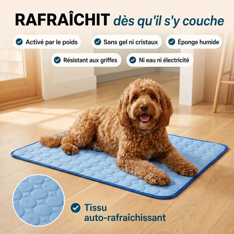 Chien couché sur le tapis rafraîchissant Lumea CoolMat, parquet clair