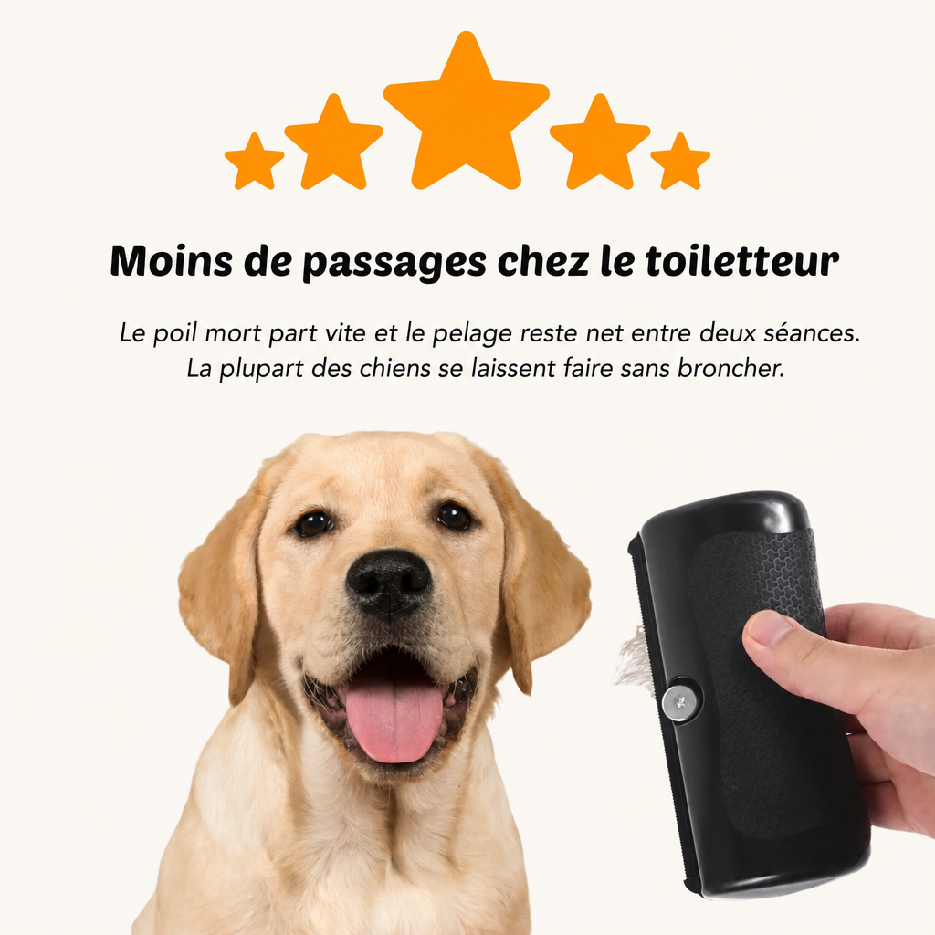Moins de passages chez le toiletteur