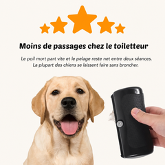 Moins de passages chez le toiletteur