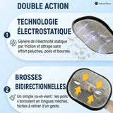 Double action : technologie electrostatique et brosses bidirectionnelles
