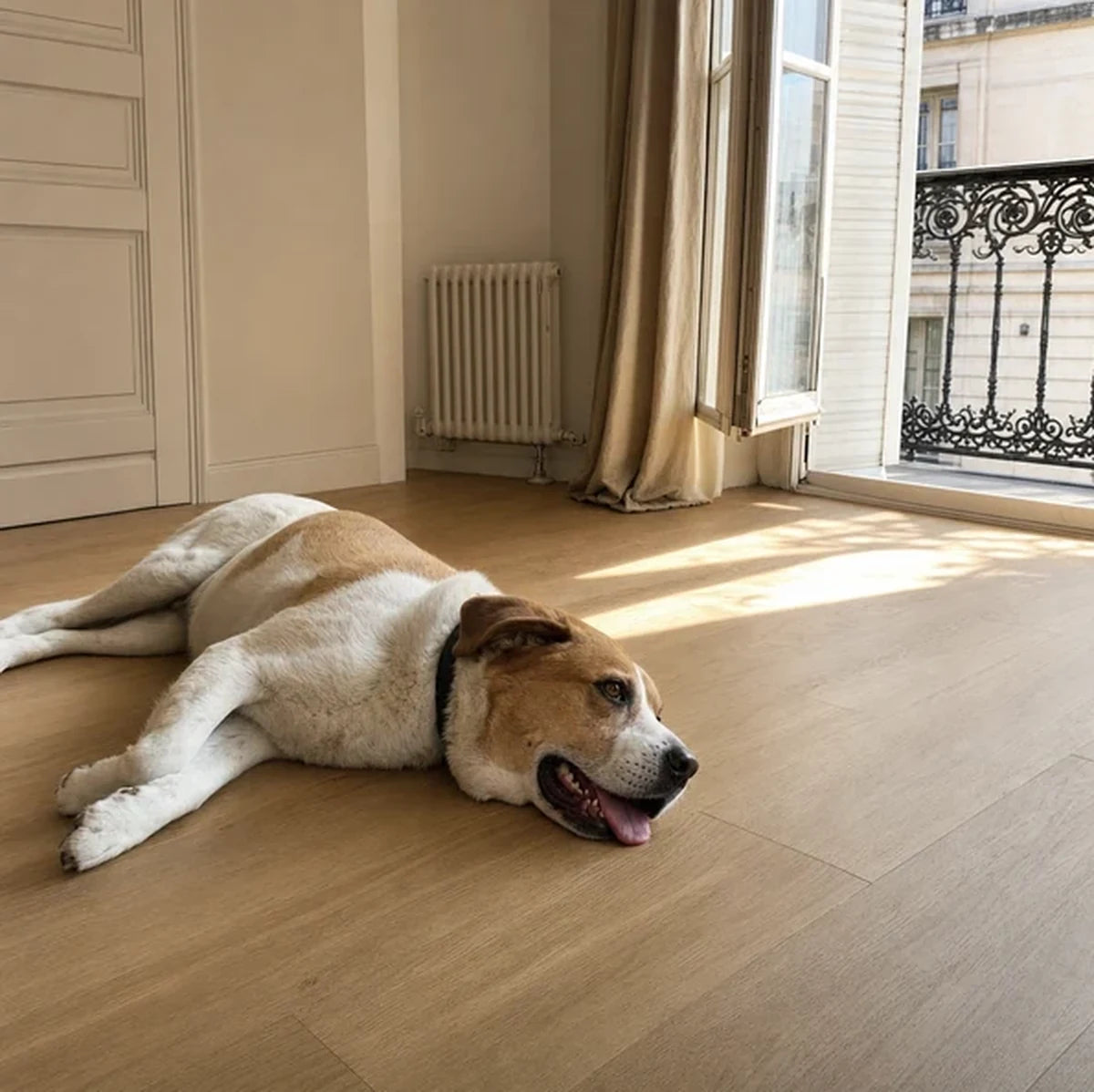 Chien calme allongé sur le tapis Velora CoolMat
